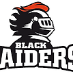 Ankeny High School Football opponent logo